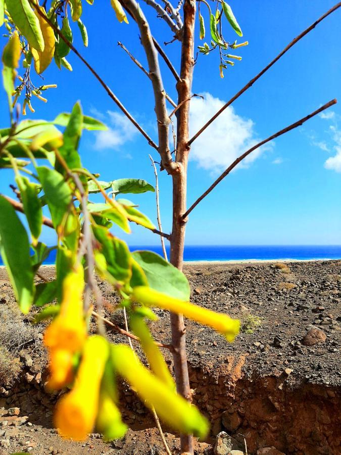 プエルト・デル・ロサリオ El Bounty De Playa Chicaヴィラ エクステリア 写真